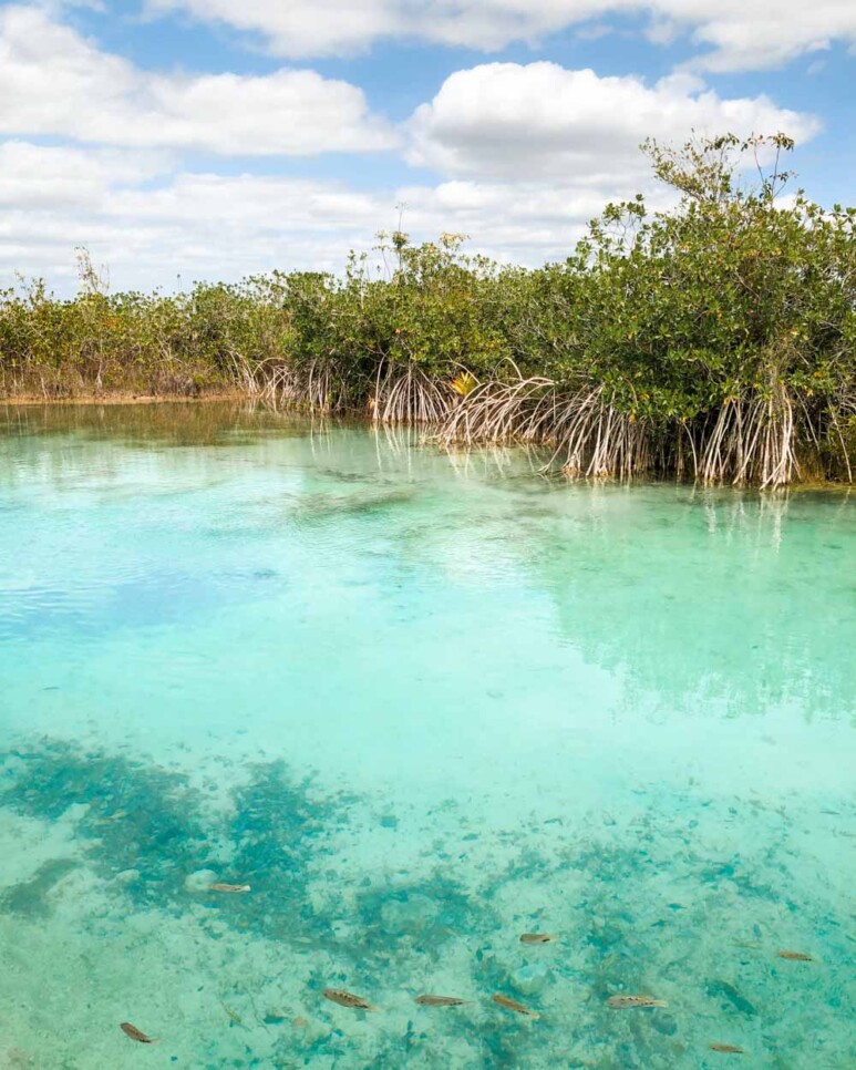 Muyil Ruins Near Tulum Muyil River Float In The Mayan Canals 2023