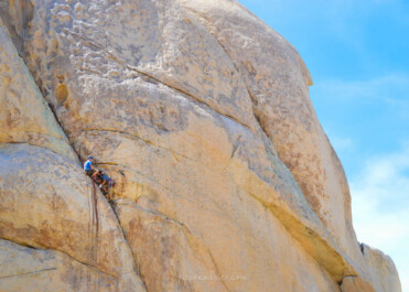 30+ Best Things To Do In Joshua Tree National Park & Around