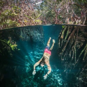 12 Best Cenotes Near Playa del Carmen + Playa del Carmen Cenotes Map