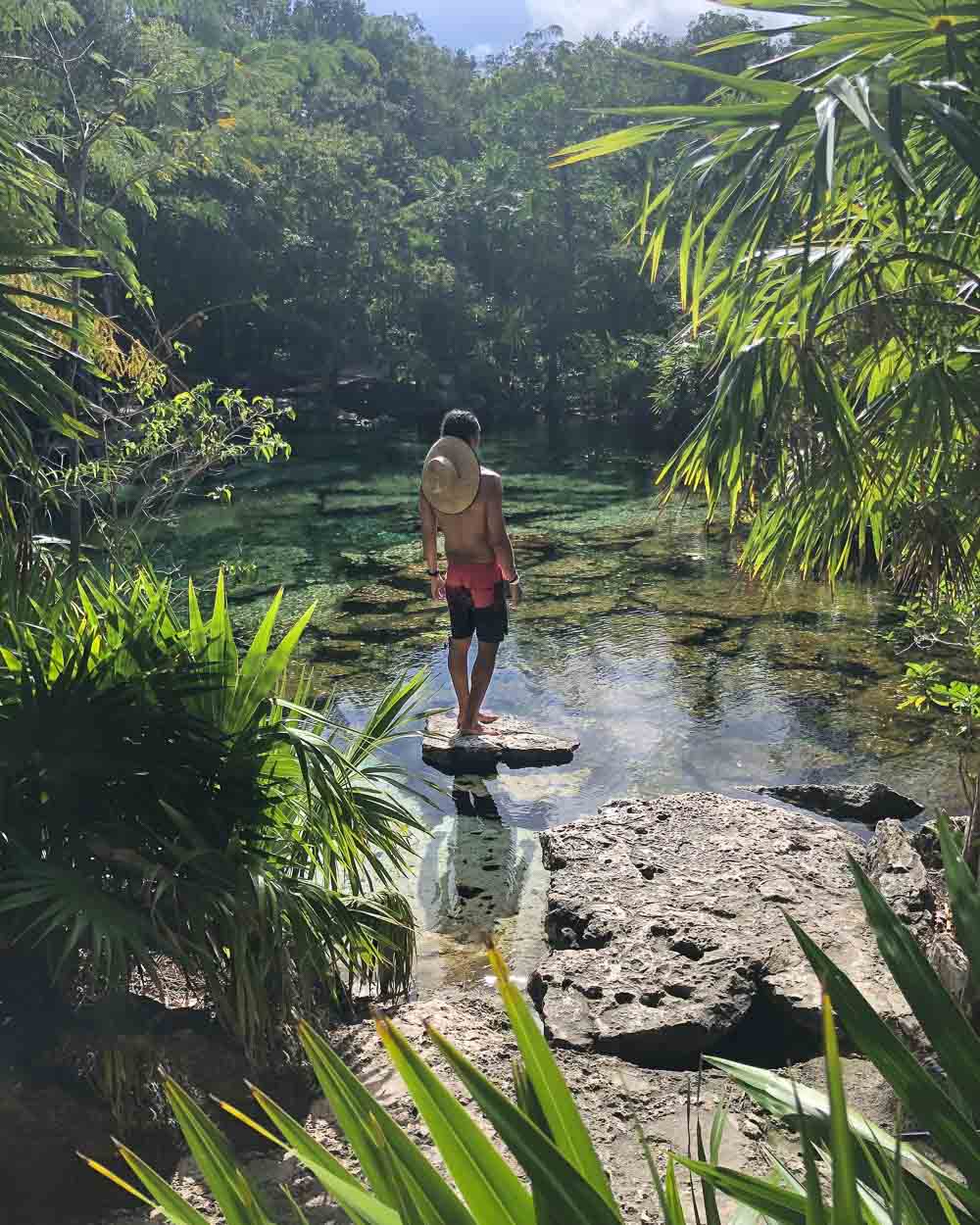 12 Best Cenotes Near Playa del Carmen + Playa del Carmen Cenotes Map