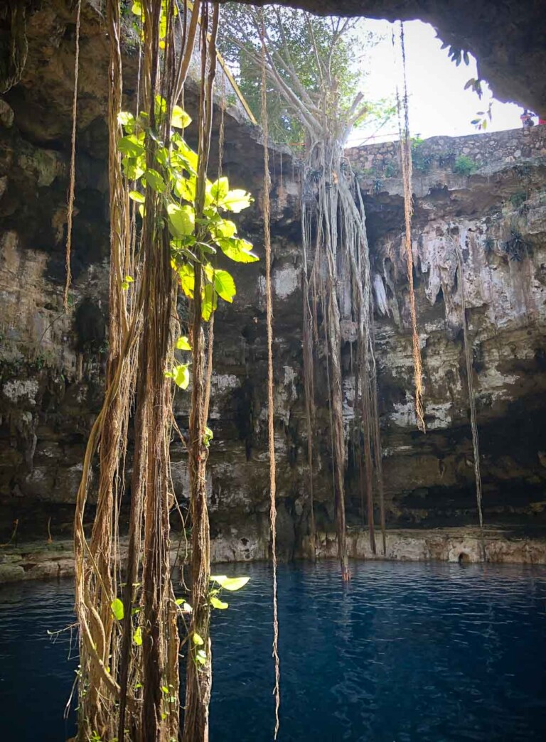 12 Best Cenotes Near Playa del Carmen + Playa del Carmen Cenotes Map