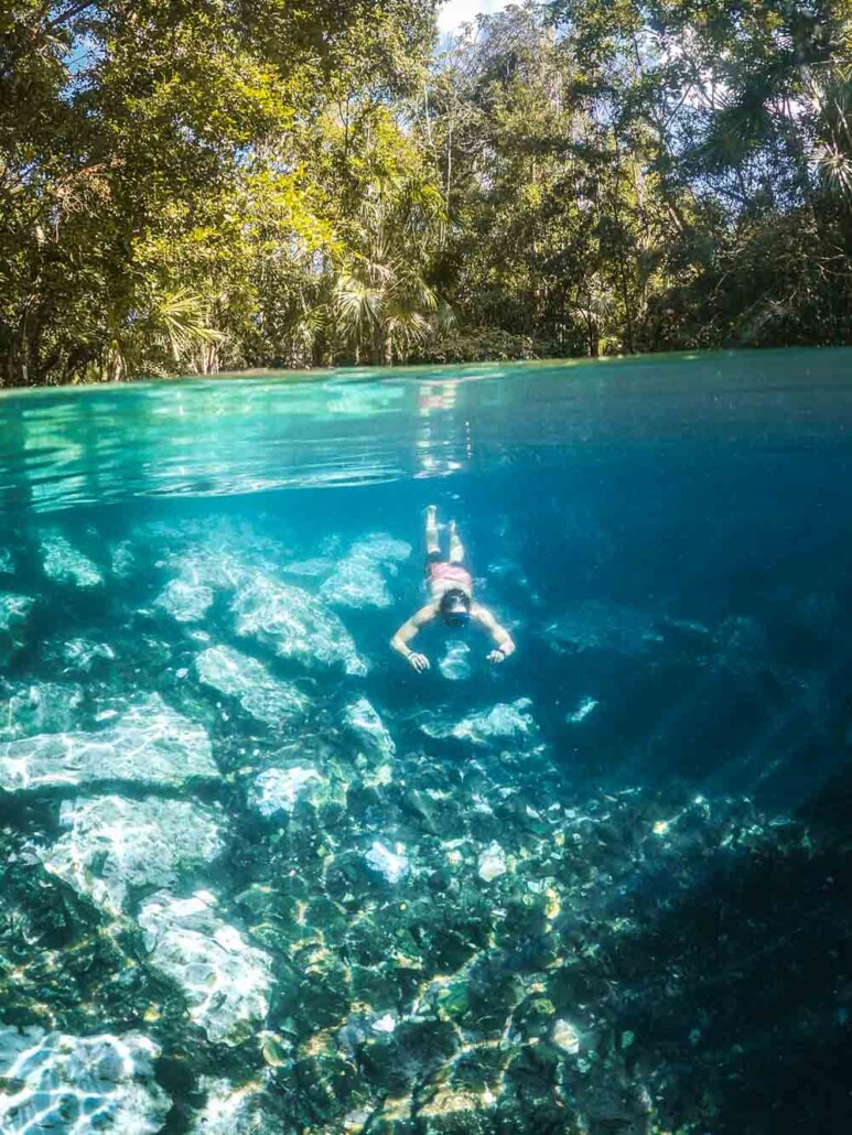 Cenote Azul Near Playa del Carmen & Tulum: Price, Hours & Tours (2023)