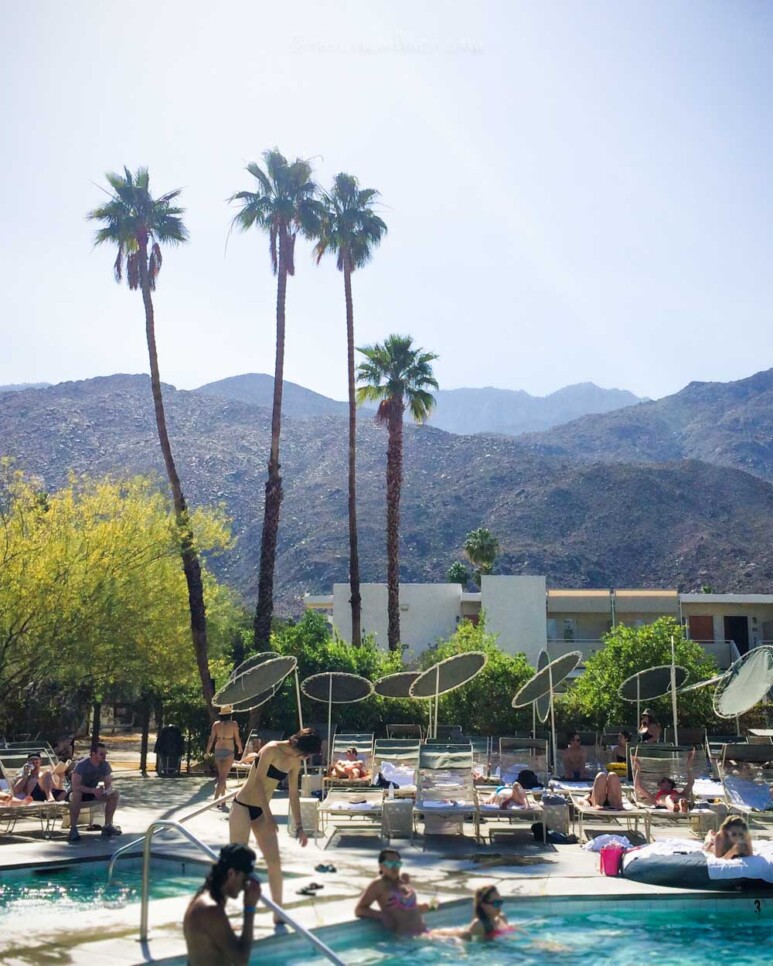 Ace Hotel Palm Springs Review - Pool Day Pass, Swim Club & Rates