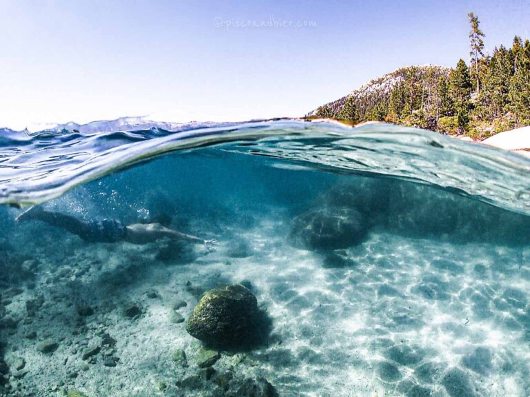 Lake Tahoe Clear Water - Best Spots To Go Snorkeling In Lake Tahoe