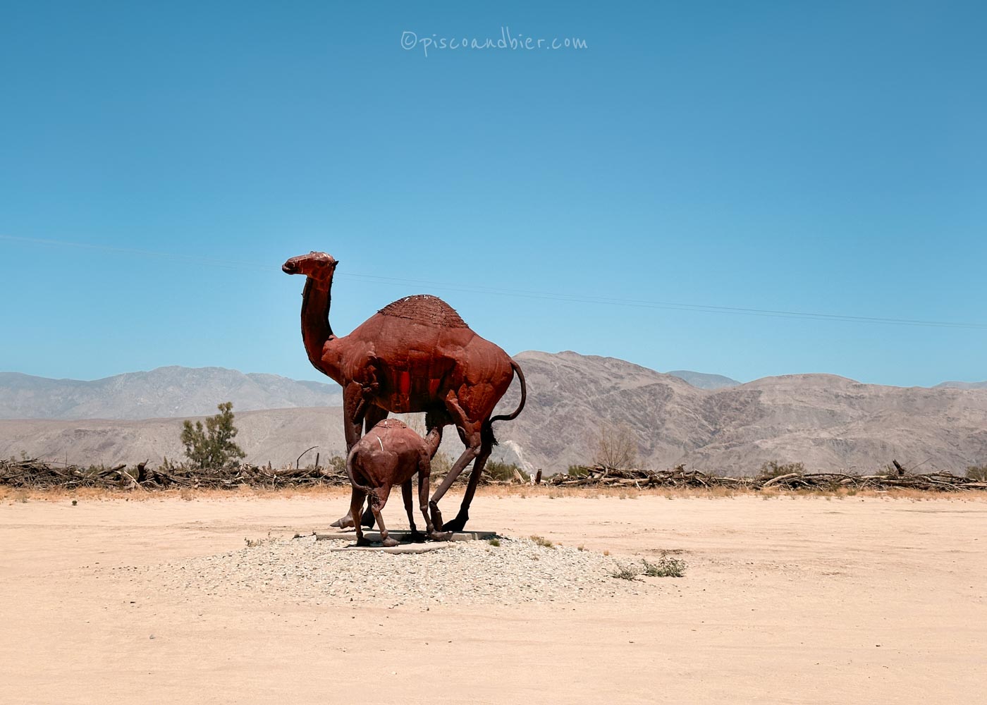 Visiting The Borrego Springs Sculptures At Galleta Meadows & Anza Borrego