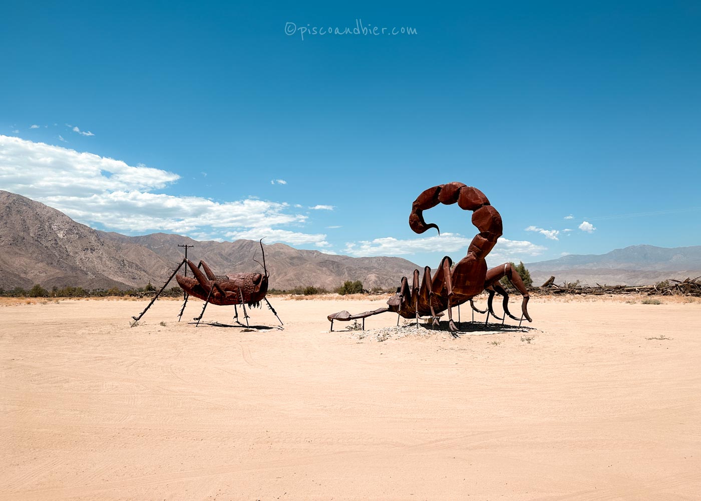 Visiting The Borrego Springs Sculptures At Galleta Meadows & Anza Borrego